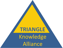 triangle logo